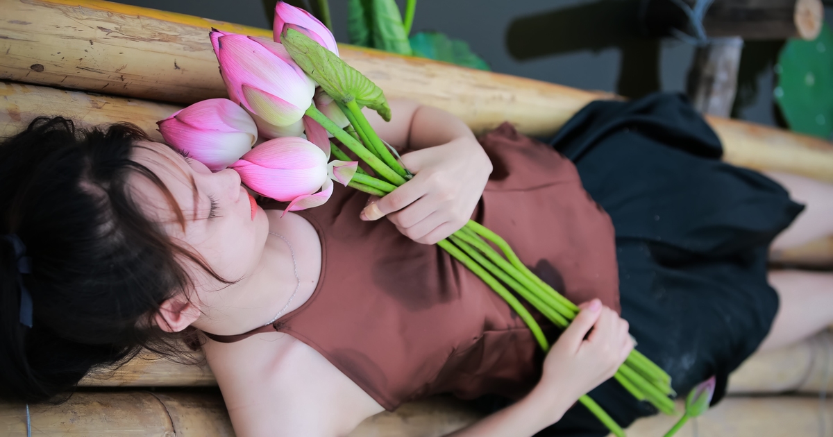 アイキャッチ［蓮の花］