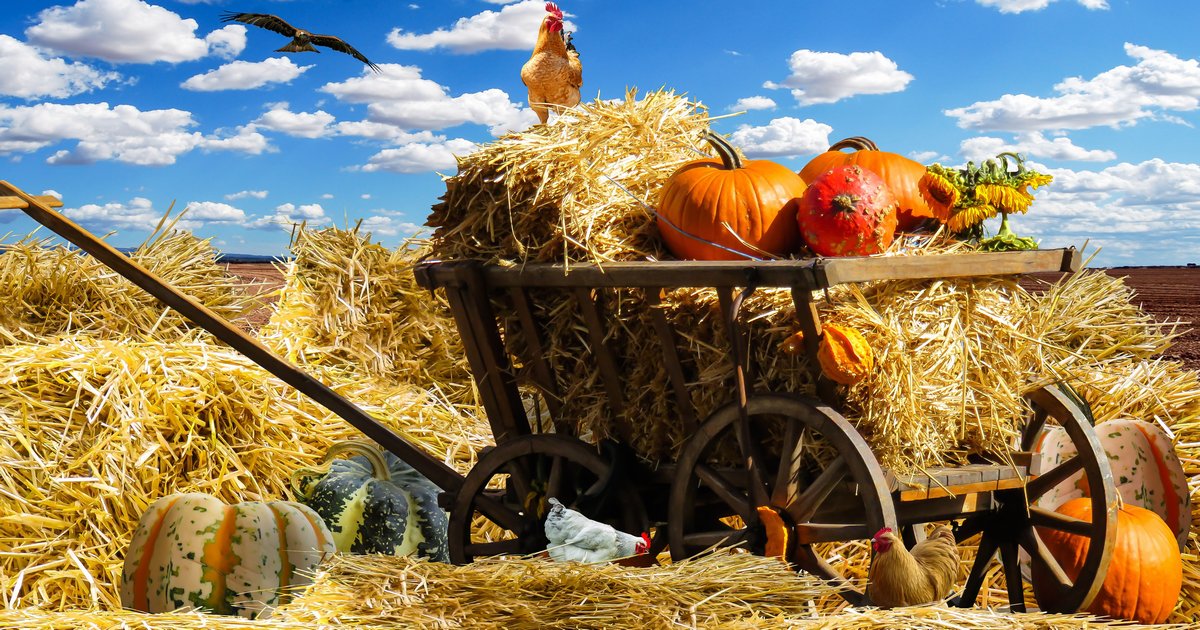 アイキャッチ［収穫祭］